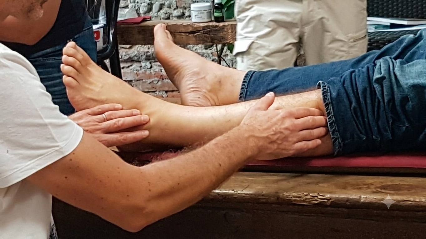 Stages Formatea